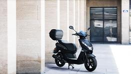 50 CC