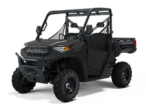 Polaris 1000 EPS