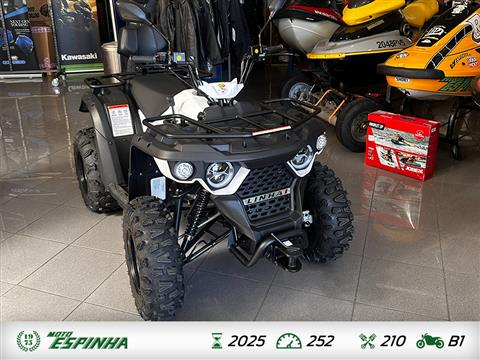 LINHAI M 210 EFI
